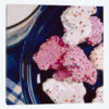 Iced Animal Cookies