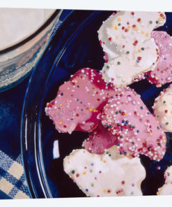 Iced Animal Cookies