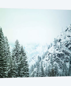 Snowfall in Cascadia II