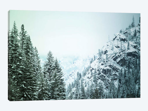 Snowfall in Cascadia II