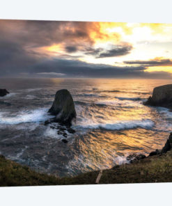 Pacific Cove