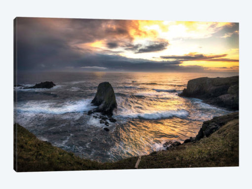 Pacific Cove
