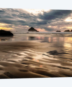 Pacific Low Tide