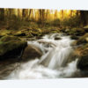 Roaring Fork