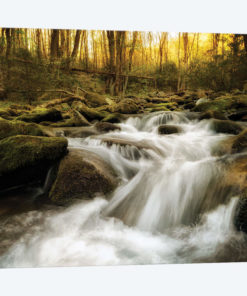 Roaring Fork