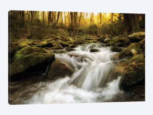 Roaring Fork