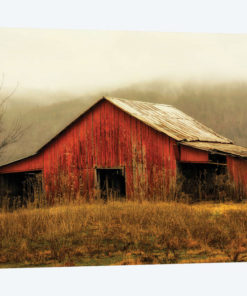 Skylight Barn in the Fog