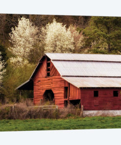 Skylight Red Barn