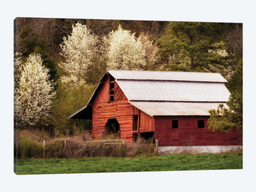 Skylight Red Barn