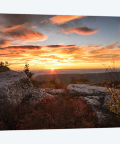 Sunrise in Fall I