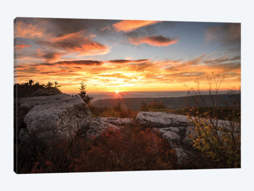 Sunrise in Fall I