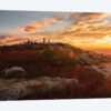 Sunrise in Fall II