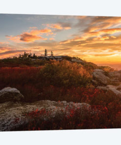 Sunrise in Fall II