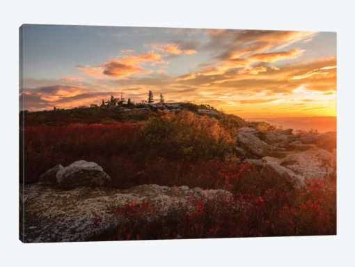 Sunrise in Fall II