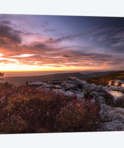 Sunrise in Fall III