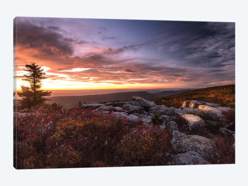 Sunrise in Fall III