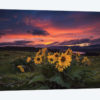 Sunset at the Gorge