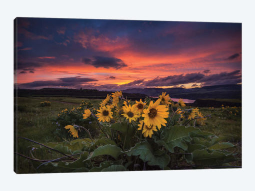Sunset at the Gorge
