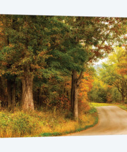 Autumn's First Day