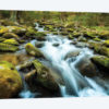 Moss Rocks