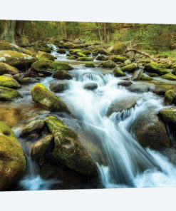 Moss Rocks