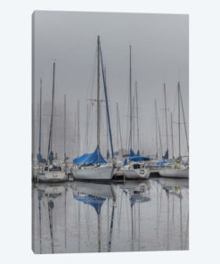Sailing Boats