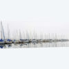 Sailing Boats Panel
