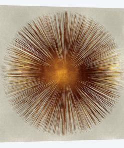 Bronze Sunburst I