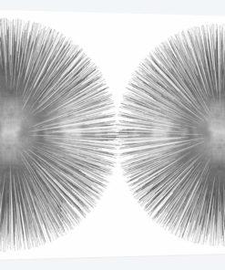Silver Sunburst II