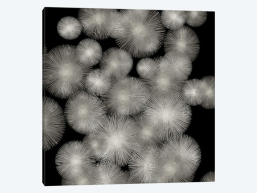 Silver Sunbursts