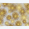 Sunburst Cluster
