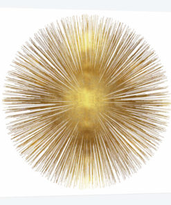 Sunburst I