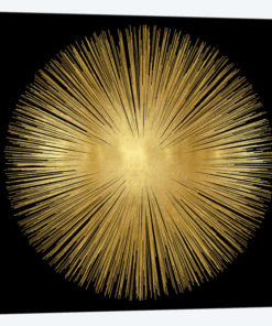Sunburst On Black I