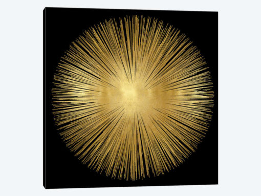 Sunburst On Black I