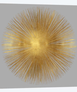 Sunburst On Grey I