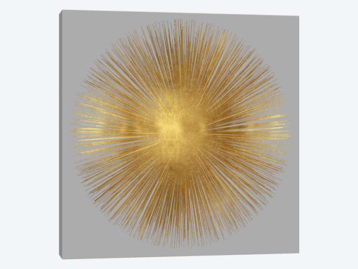 Sunburst On Grey I