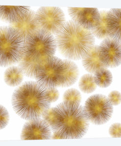 Golden Sunbursts