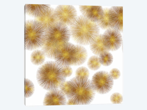 Golden Sunbursts