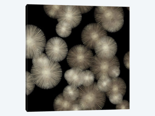 Pewter Sunbursts
