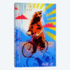 Bear Back Rider