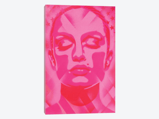 Skin Deep Pinks
