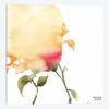 Watercolor Floral Yellow and Red I
