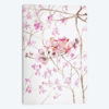 Cherry Blossoms