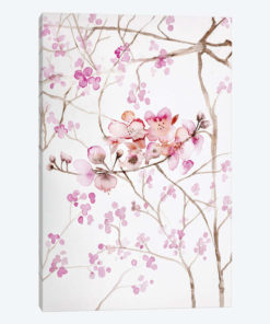 Cherry Blossoms