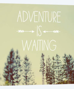 Adventure Is Waiting