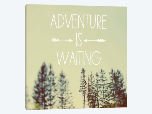 Adventure Is Waiting
