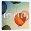 Dream Big II