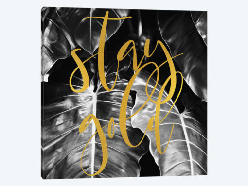 Stay Gold