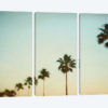 The Palms #3