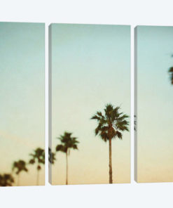 The Palms #3